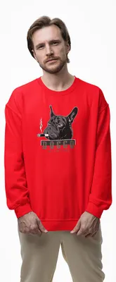 Produktbild von D&B Design Uni Pullover SWST00177 Doggo Rot-Größe 3XL