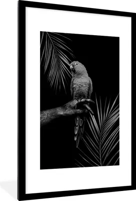 Produktbild von MuchoWow® Gerahmtes Poster Tropischer Vogel vor schwarzem Hintergrund - schwarz und weiß 60x90 cm - Poster mit Schwarzem Bilderrahmen Wandposter Rahmen Foto Bilder - Dekoration - Wandposter Wohnzimmer - Hochwertig