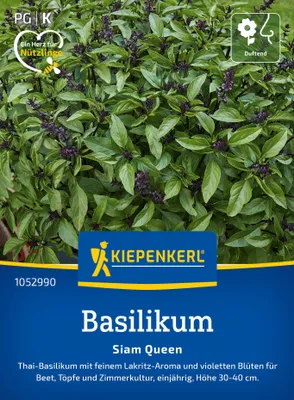 Produktbild von Kiepenkerl Basilikumsamen Siam Queen Ocimum basilicum 150 Pflanzen