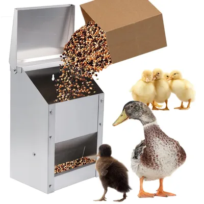 Produktbild von Hängender Hühnerfutterautomat Geflügelfutterspender - Hängend - 4,5 kg - Edelstahl - Mit Deckel - Wasserdicht - Für Hühner, Wachteln und Enten