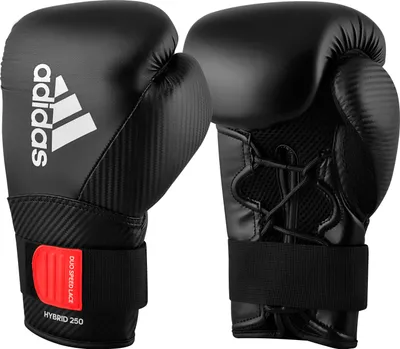 Image de Gants de boxe Sport-Thieme "Hybrid 250 Duo Lace", 12 oz.