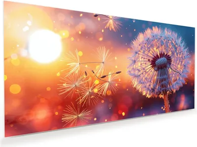 Produktbild von Glasbild 60x30cm in XXL für Wohnzimmer, Schlafzimmer Motiv Pusteblume Sonnenuntergang