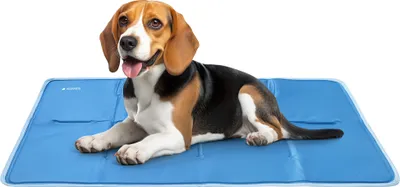 Produktbild von Navaris Kühlmatte für Hunde - Kühlmatte Hund - Selbstkühlende Hautiermatte mit Gel - Kühlmatte für Haustiere - Erfrischung für deinen Liebling - 60 x