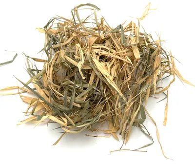 Image de Feuilles de bambou BioThai 20g