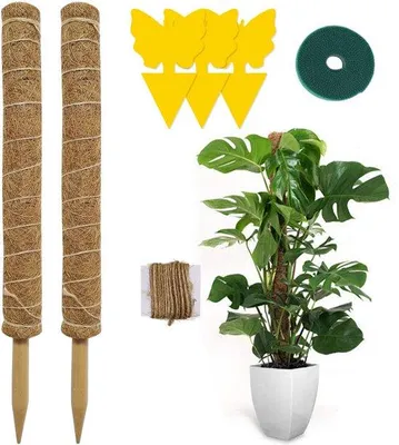 Productafbeelding van Ibenzoa® Klimhulp van kokosvezel, 50 cm – Set van 2 met houten stokken, kabelbinders en jutstouw, uitbreidbaar, plantensteun voor binnen en buiten