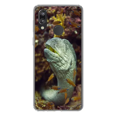 Produktbild von MuchoWow® Handyhülle Schutzhülle Hülle für Huawei P20 Lite (2020) Fische - Korallen - Ozean Silikon Softcase Handy Hülle - Kartenhalter