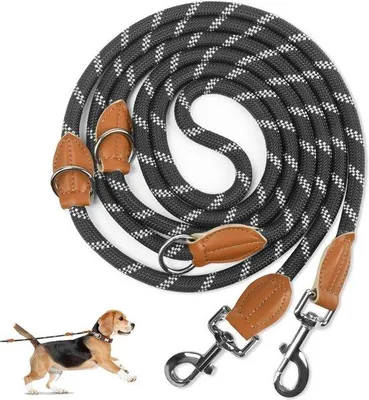 Produktbild von Robuste nylon reflektierende Hundeleine für mittelgroße und große Hunde - Trainingsleine mit doppelten Karabinerhaken