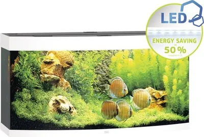 Produktbild von Aquarium JUWEL Vision 260 mit LED-Beleuchtung, Heizer, Filter ohne Unterschrank weiß