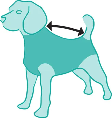 Image de Imperméable Hase - turquoise, Taille : 30