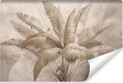 Produktbild von Muralo Selbstklebende Fototapete für Wohnzimmer BANANENBLÄTTER Pflanzen Beton Retro Br. 208cm x Hö. 146cm