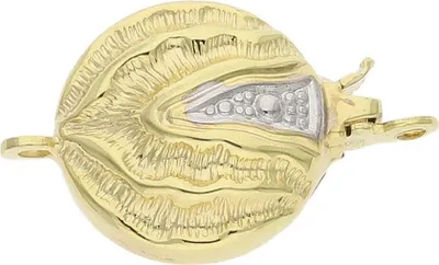 Produktbild von JuwelmaLux Perlenschließe 333/000 (8 Karat) Gold JL30-09-4155