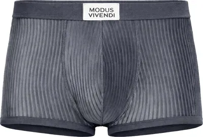 Image de MODUS VIVENDI Corduroy Boxer Grey - 1x Taille XL