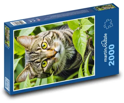 Produktbild von martinpuzzle - Puzzle 2000 Teile - Katze im Garten