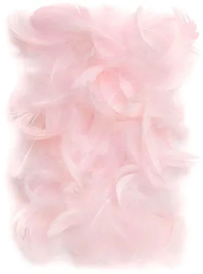 Produktbild von Rosa Federn, 5–12 cm, 10 g – Dalprint
