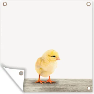 Produktbild von MuchoWow® 100x100 cm Outdoor-Poster Gartendeko Sichtschutz Garten Poster für den Garten  Tiere - Huhn - Gelb