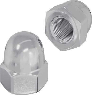 Zdjęcie produktu dla Hex Orzechy żołędziowe 2 pcs Srebrny m8 Metal