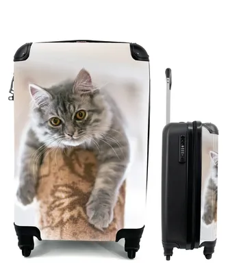 Produktbild von MuchoWow® Koffer Handgepäck Trolley Rollkoffer Kleine Reisekoffer mit 4 Rollen - Katze - Kratzbaum - Augen - Cabin Size < 55x40x23 cm & 55x40x20 cm - Fotokoffer - Kabinenkoffer - Boardgepäck - Reise-Box - Reisekoffer - Reisegepäck - Koffer mit Bild - Trolley für Kinder