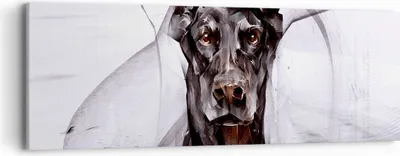 Produktbild von Bild auf Leinwand - Leinwandbild - Hund Abstraktion - 90x30cm - Wand Bild - Wanddeko - Wandbilder - Leinwanddruck - Bilder - Kunstdruck - Wanddekoration - Leinwand bilder - Wandkunst - AB90x30-3999