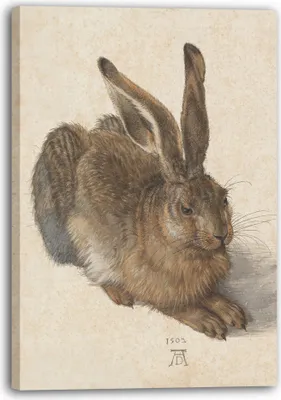 Produktbild von Leinwandbild (80x120cm): Albrecht Dürer - Feldhase, echter Holz-Keilrahmen inkl. Aufhänger, handgefertigt in Deutschland