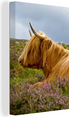Produktbild von OneMillionCanvasses® - Leinwandbilder - 90x140 cm, Scottish Hochlandrind - Blumen - Gras, Wandbilder Wohnzimmer Hochland Rind - Tier Wanddekoration - Hochland Rind - Kuh - Gemälde auf Holzrahmen - Wandschmucke - Schlafzimmer