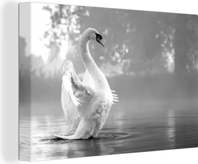 Produktbild von OneMillionCanvasses® - Leinwandbilder - 140x90 cm, Schwan in nebligem See - schwarz und weiß, Wandbilder Kunstdruck Wanddekoration