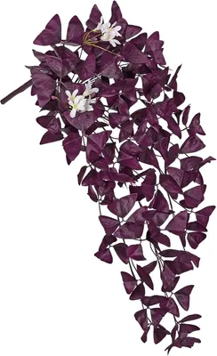 Imagen del producto de Planta colgante artificial Oxalis Triangularis, con forma triangular, de 54 cm, decoración realista