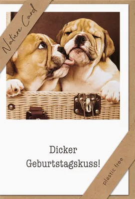 Produktbild von Geburtstag – Nature Cards – unverpackt - Glückwunschkarte im