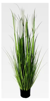 Produktbild von Künstliche Pampasgras Pflanze 120 cm hoch, 5 federartige Rispen, eingetopft (Topf Ø 14 cm)