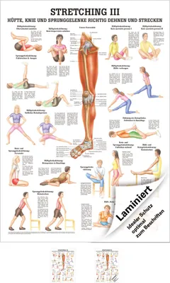 Produktbild von Stretching III Mini-Poster Anatomie 34x24 cm medizinische Lehrmittel