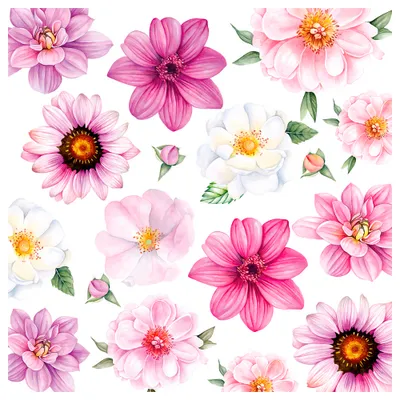 Image de Serviettes Papier Gloire D'été Motif Floral Estival éclatant - Ambiente