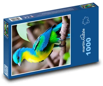 Obrázek produktu pro martinpuzzle - Puzzle 1000 - Turako - pták
