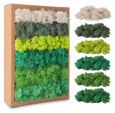 Stabilisiertes Moos 200 g, 6 Farben, Kunstmoos für Dekoration