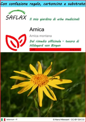Immagine prodotto di SAFLAX Set regalo - Arnica  - 40 semi - Arnica
