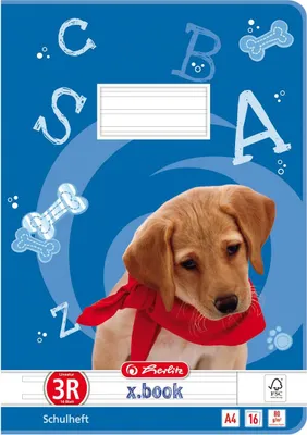 Produktbild von 5 Herlitz Schulhefte / DIN A4 / 16 Blatt / Lineatur 03 mit Rand