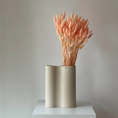 Produktbild von Lagurus Hasenschwanz Samtgras Trockenblumen 60-70cm DIY Blumendeke Naturdeko