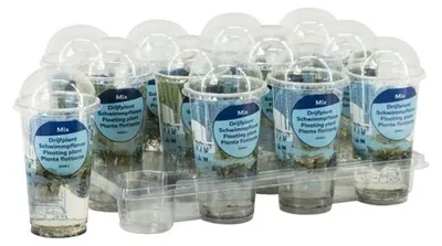 Productafbeelding van Moerings Drijfplanten mix | In Beker Small