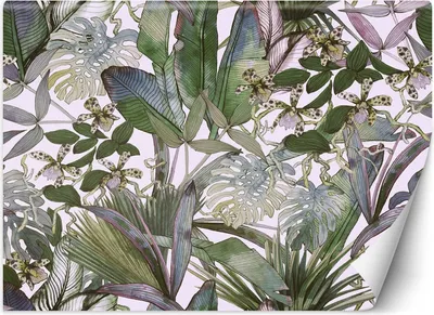 Produktbild von Vlies fototapete Monstera und tropische Blätter in Pastellfarben 100x70 cm Feeby Grün inkl. Kleber einfache Montage