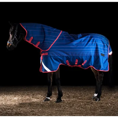 Image de Horseware Ireland Couverture d'extérieur 250g Amigo Bravo 12 Reflectech Plus Medium Couverture de pré bleu/réfléchissant & rose 140 (6'3)