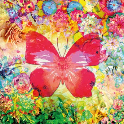 Immagine prodotto di PPD Papillon In Love Servietten, 20 Stück, Tischservietten, Tissue, Bunt, 33 x 33 cm, 1331548