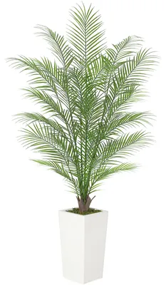 Immagine prodotto di Palma Areca artificiale, altezza 150 cm – Pianta ornamentale realistica per interni, uffici e terrazzi, che non richiede manutenzione