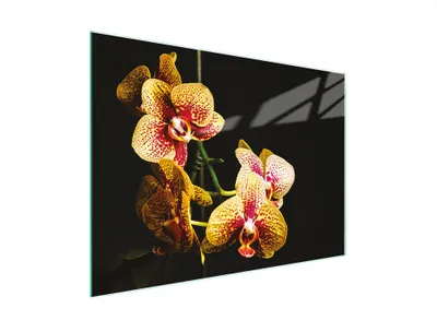 Obrázok produktu pre Krájacia doska Kryt na sporák Multiglass krájacia doska 30x22 cm Orchid Black