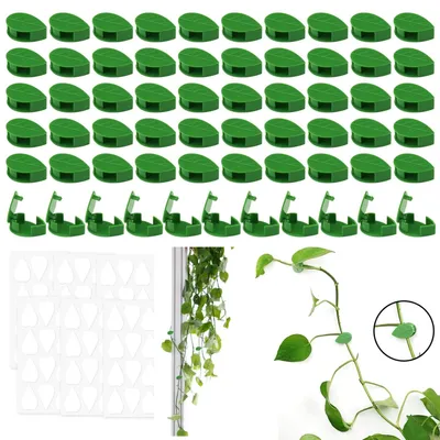 Image de Clips pour plantes murales - Plastique - 60 pièces - Vert - Pour orchidées et lierre