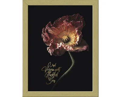 Produktbild von Gerahmtes Bild Beautiful & Gold IV 19x24 cm