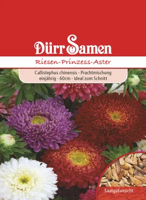 Produktbild von Aster Riesen Prinzess | Asternsamen von Dürr Samen