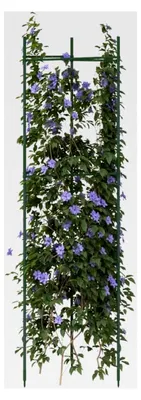 Produktbild von Tomatenkäfige 6 Stück, 116 cm, Stahl und PP