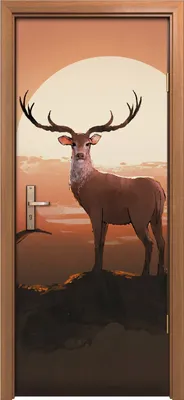 Produktbild von Türposter 80x200 cm Türaufkleber Türtapete Türfolie Klebefolie der Hirsch Tiere Sonnenuntergang