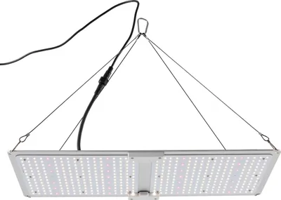 Zdjęcie produktu dla LED Grow Light Plant Light 220W Full Spectrum Grow Light Rośliny domowe Lampy roślinne