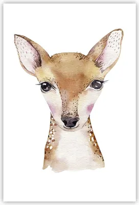 Produktbild von Poster - Poster ohne Rahmen - Damhirschkuh Grafiken Kinder - 61x91,5 cm - Wand Bild - Wanddeko - Wandbilder - Kunstposter - Wandposter - Bilder - Kunstdruck - Wanddekoration - Wandbild P2XPA61x91-4449