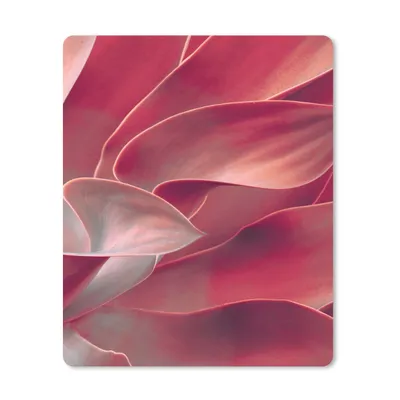 Produktbild von MuchoWow® Mauspad Mousepad Stilleben - Blätter - Pflanze - Rosa 30x40 cm - Mousepads - Maus Mat - Pad - Mausunterlage - Mausmatten