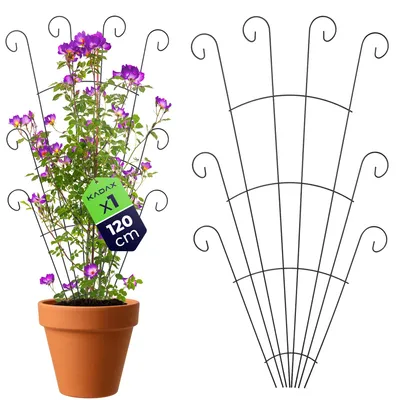 Obrázek produktu pro KADAX Kovová opěrná mříž 62 x 120 cm, 1 ks, opora pro popínavé rostliny, jako jsou růže a plaménky, mříž pro rostliny do zahrady, na balkon a terasu, ocelová mříž pro rostliny